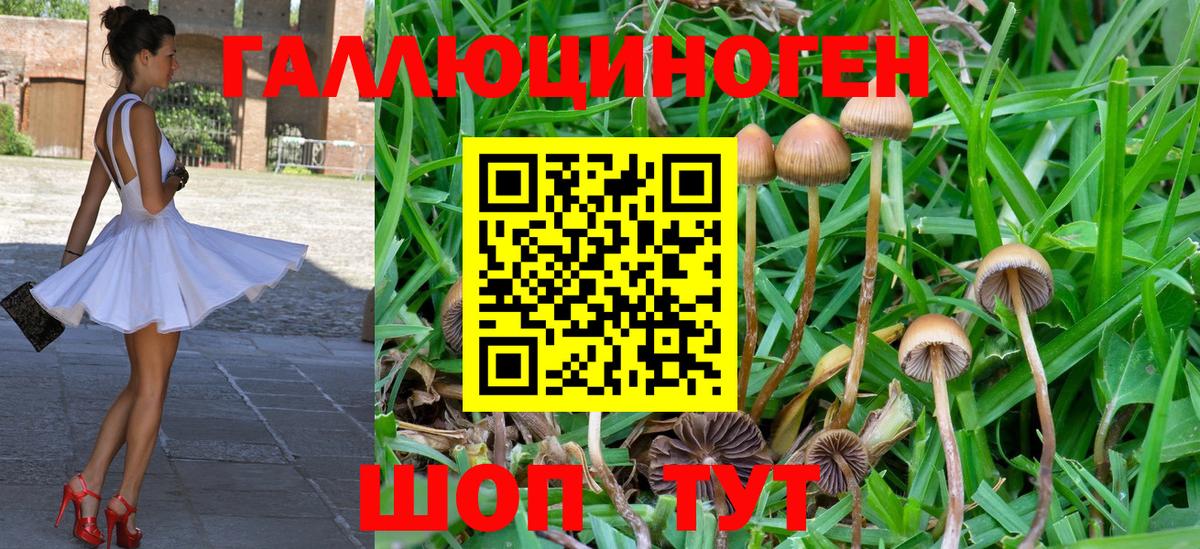 Псилоцибиновые грибы MAGIC MUSHROOMS  Вход с VPN  купить наркотик  Белебей 