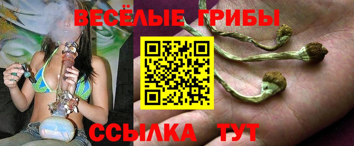 Галлюциногенные грибы мицелий Белебей
